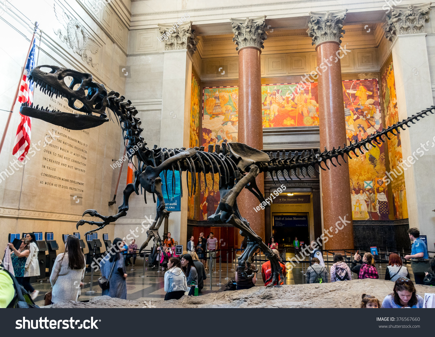 2,389 Natural history museum new york Images, Stock Photos & Vectors ...