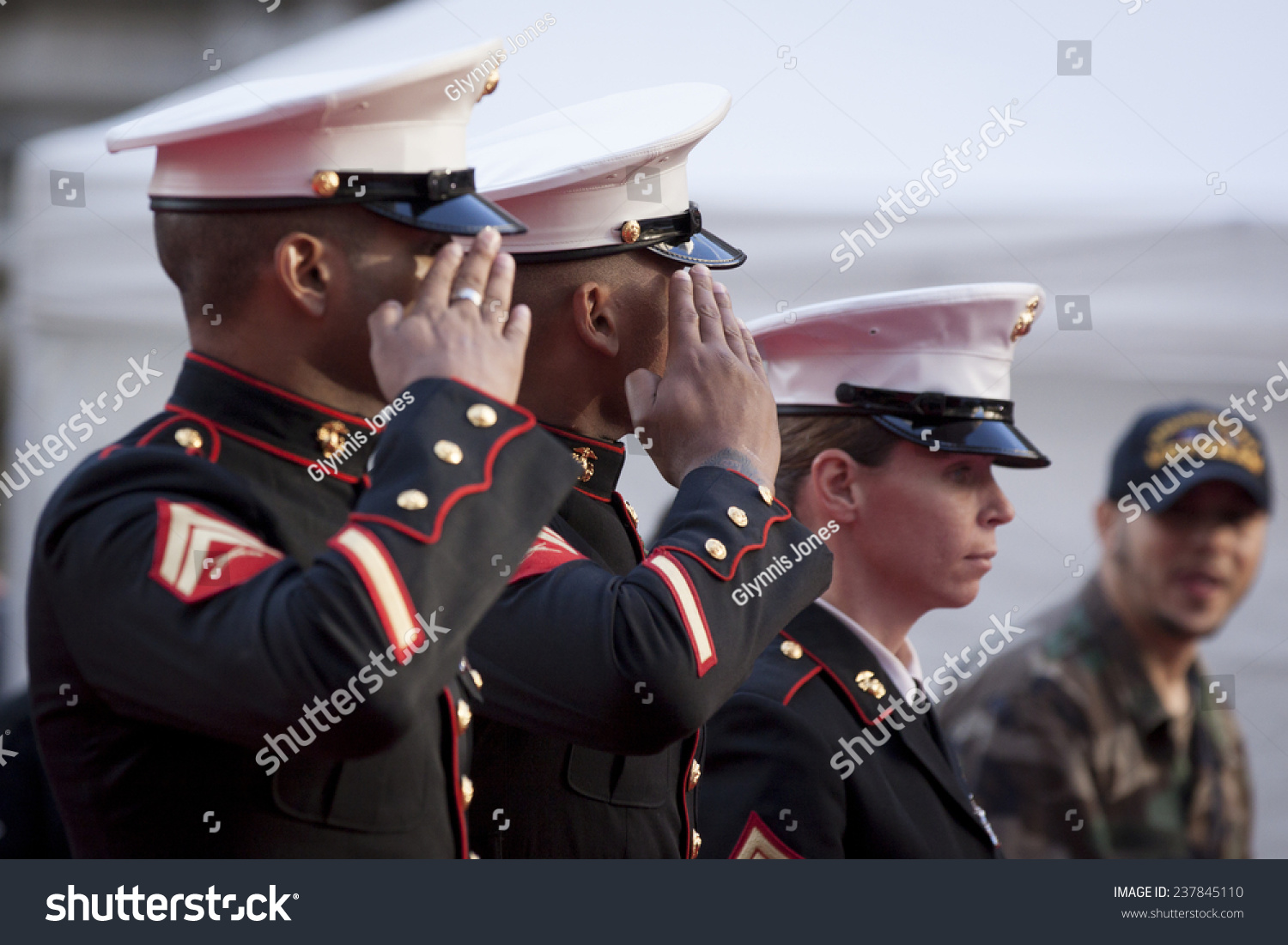 8 009 Marines Salute Images Stock Photos Vectors Shutterstock 8 009 Marines Salute Images Stock Photos Vectors Shutterstock