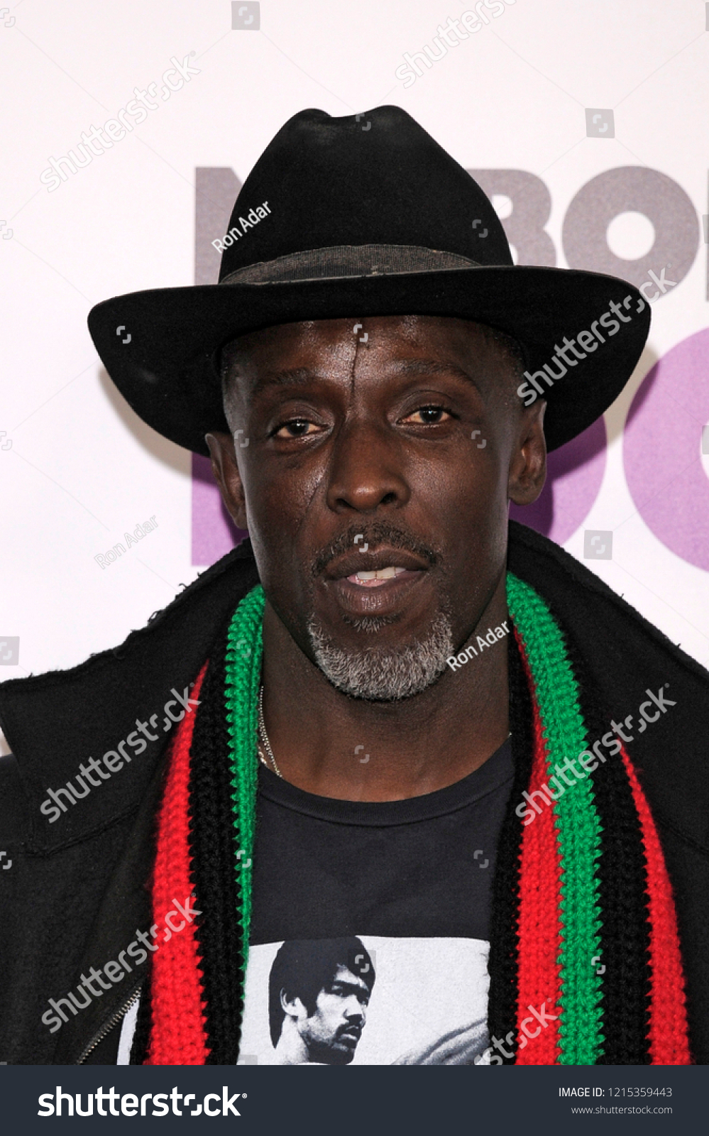 michael k williams Saltation Euphony video