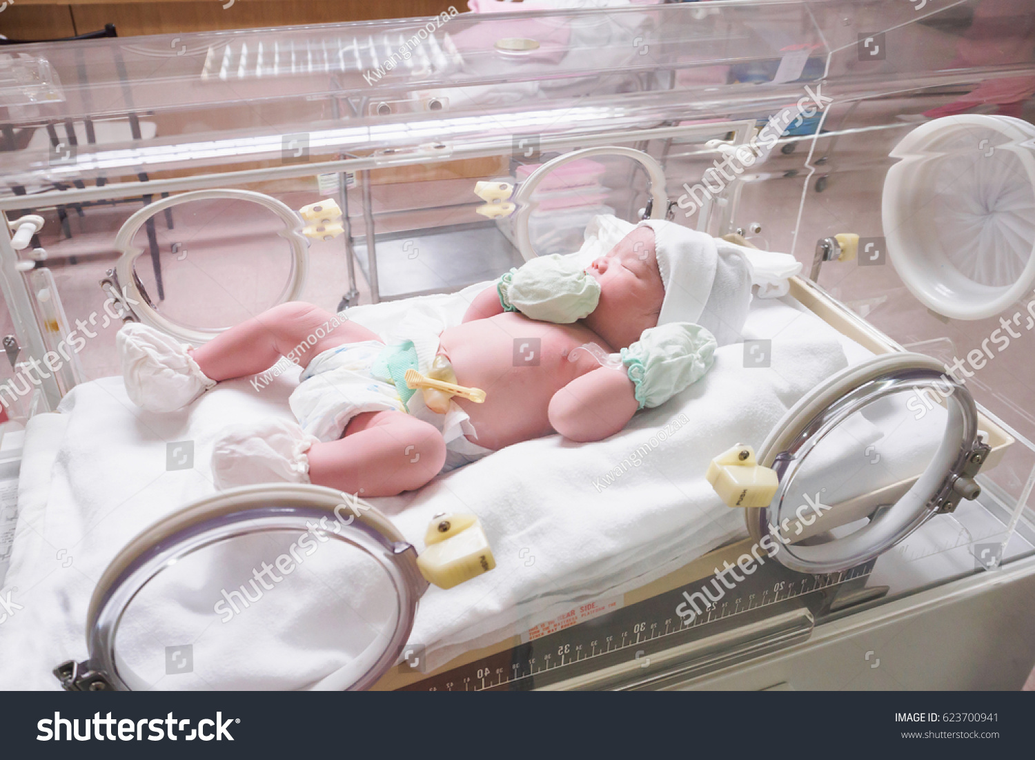 Newborn Baby Girl Inside Incubator Hospital Stock Photo (Edit Now ...