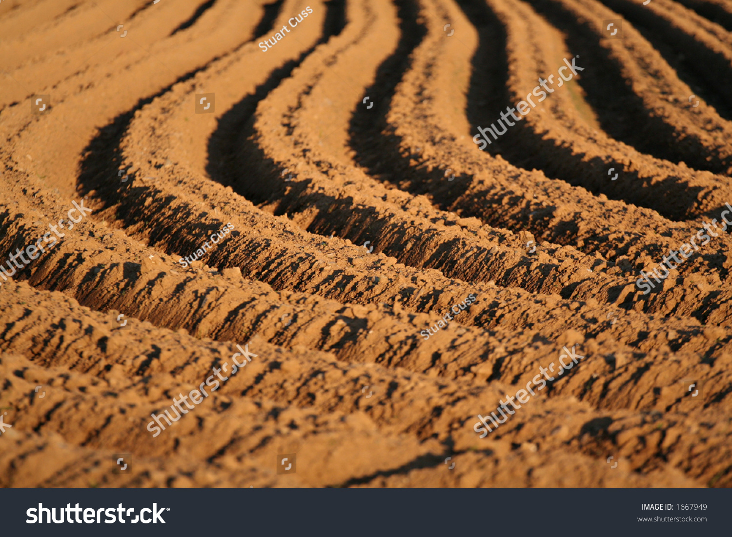 Newly Ploughed Field Stock Photo 1667949 : Shutterstock