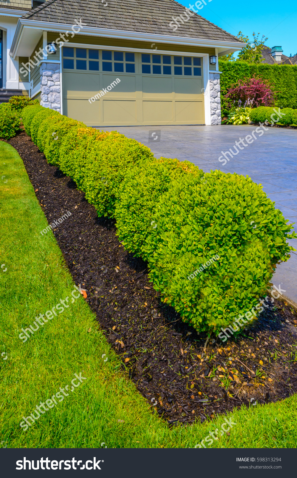 bushes for front of house