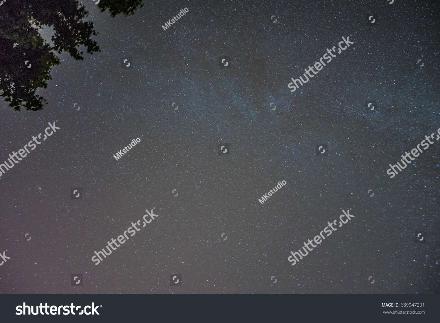 Night Sky Stars Forest Stock Photo 689947201 | Shutterstock