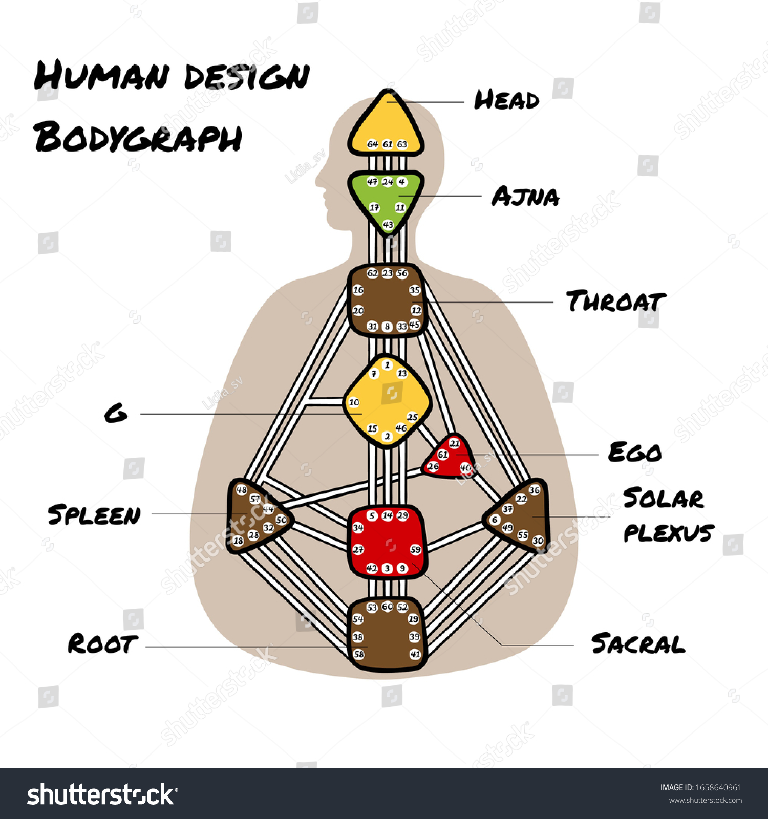 Nine Energy Centers Human Design Chart Stock Illustration 1658640961