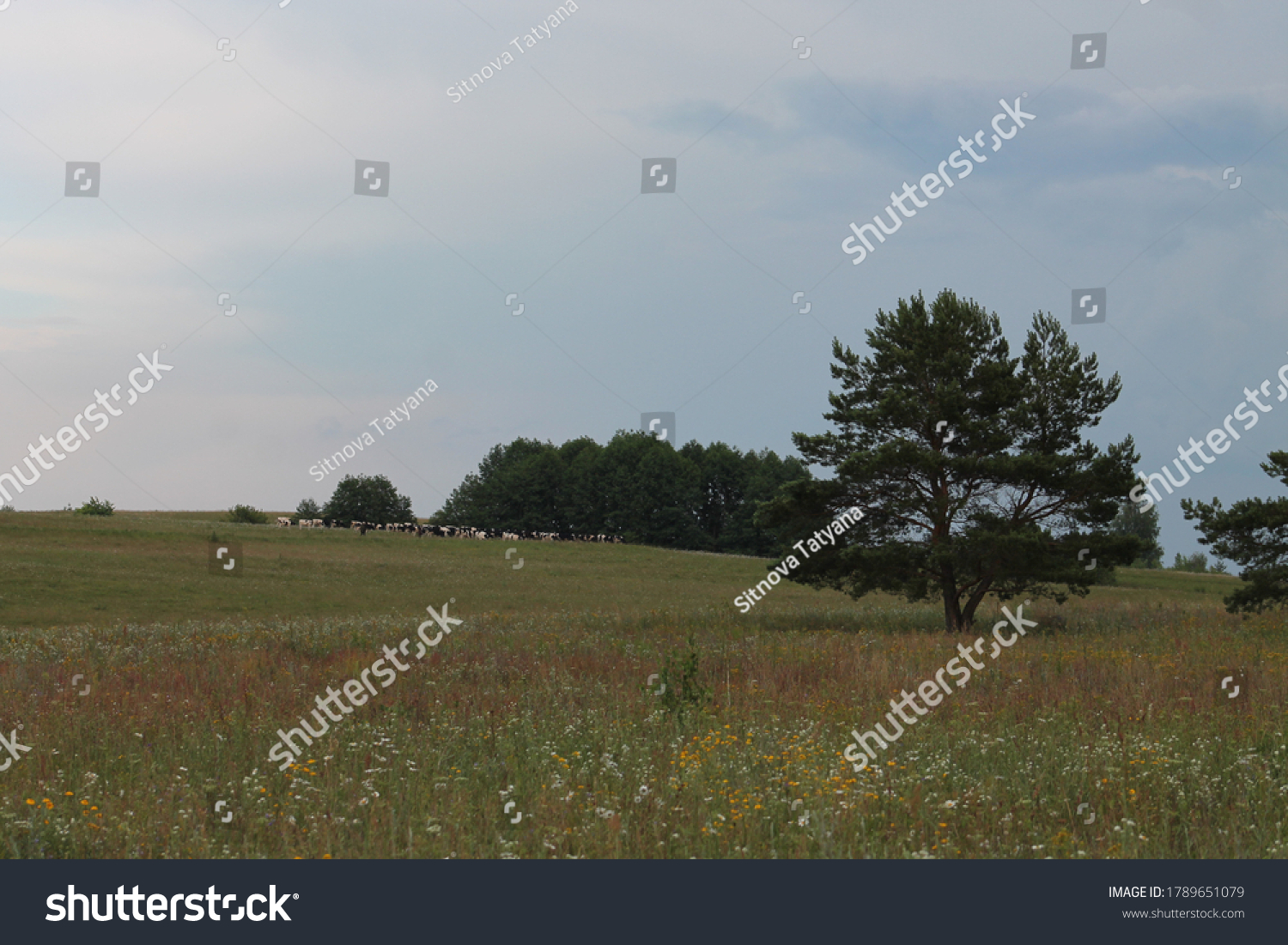 63 Buturlinsky Images, Stock Photos & Vectors | Shutterstock