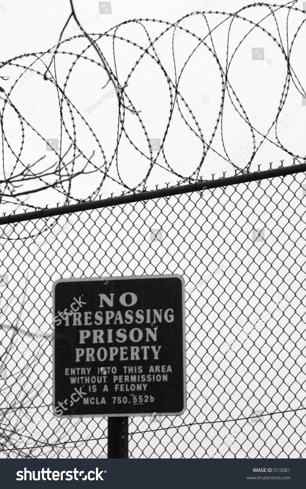 Prison Fence Wire Prison Fence Wire