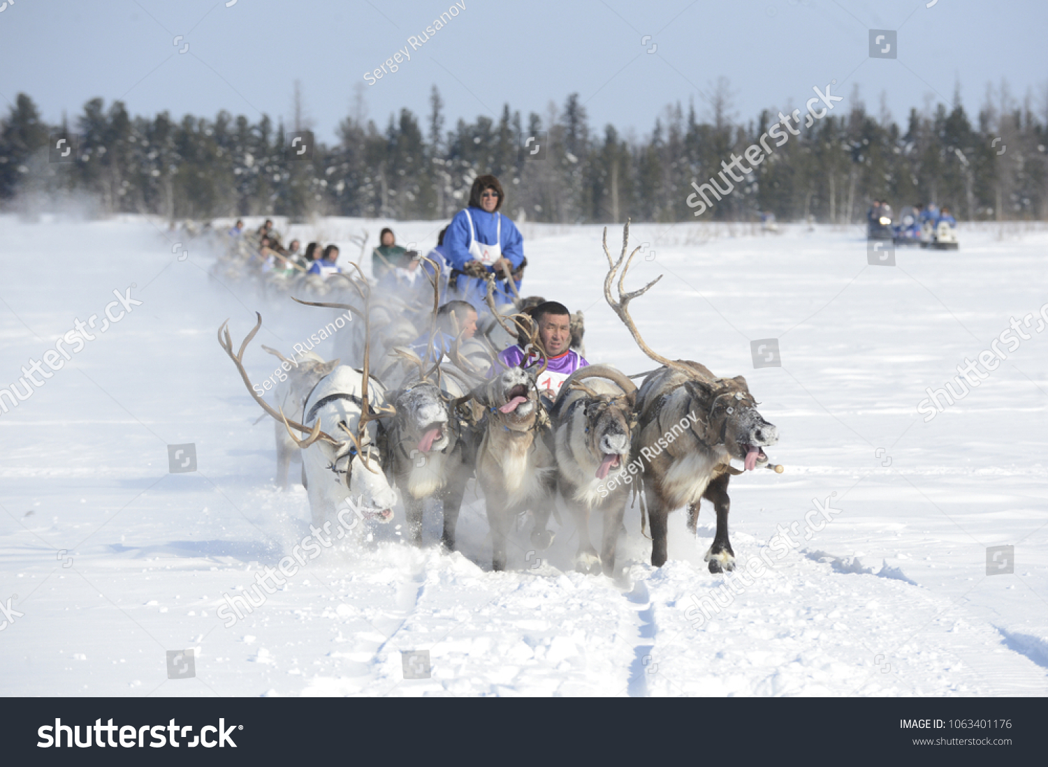 Herders in the Arctic Herders in the Arctic