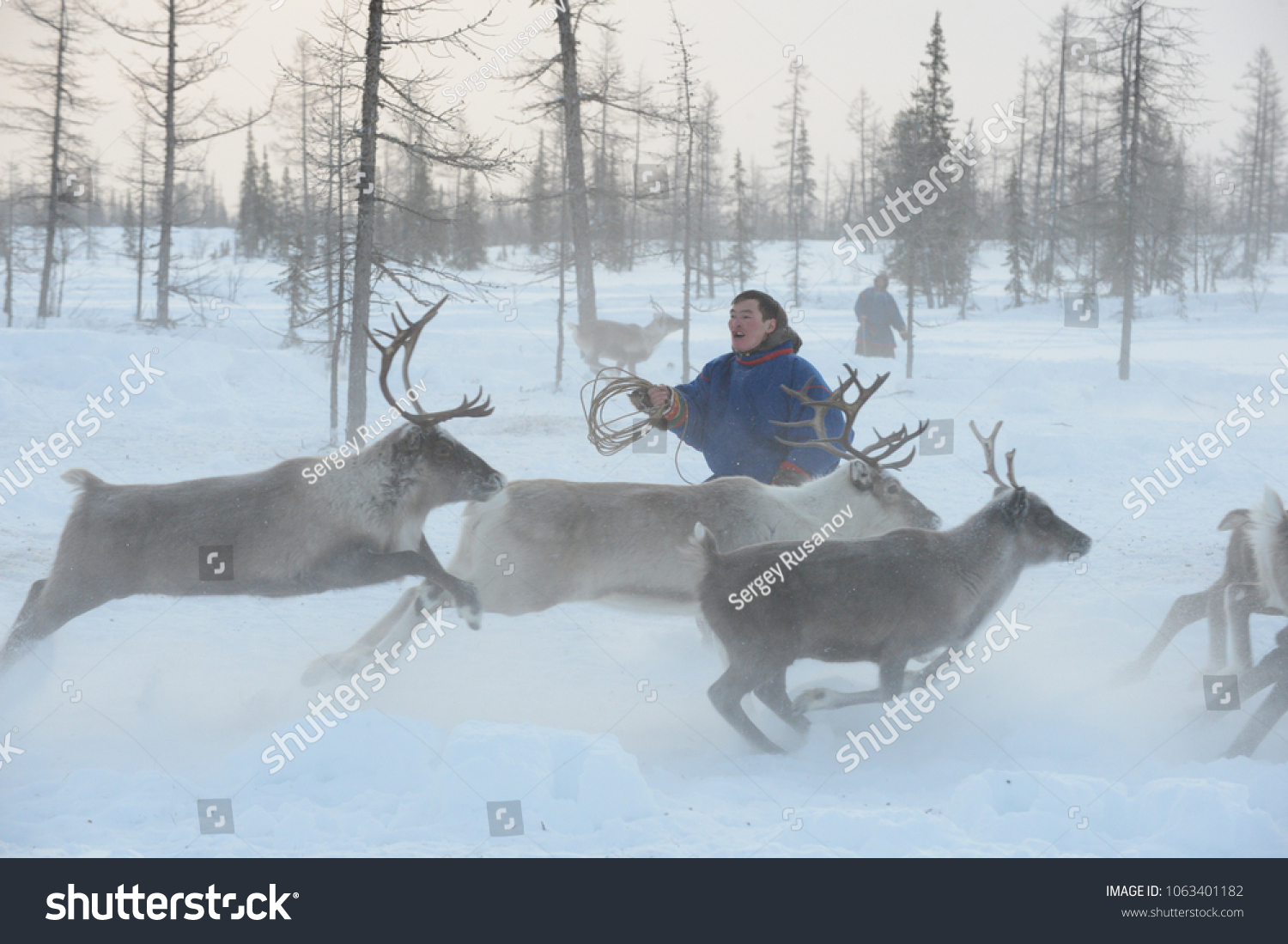 Herders in the Arctic Herders in the Arctic