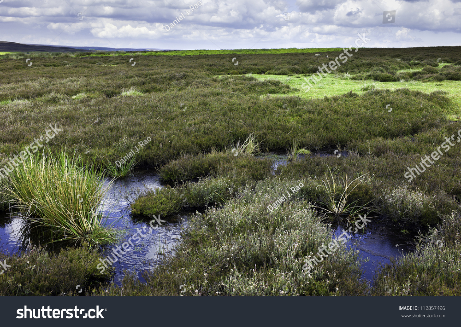 North York Moors In Late Spring And The Bogs That Are Part Of This ...