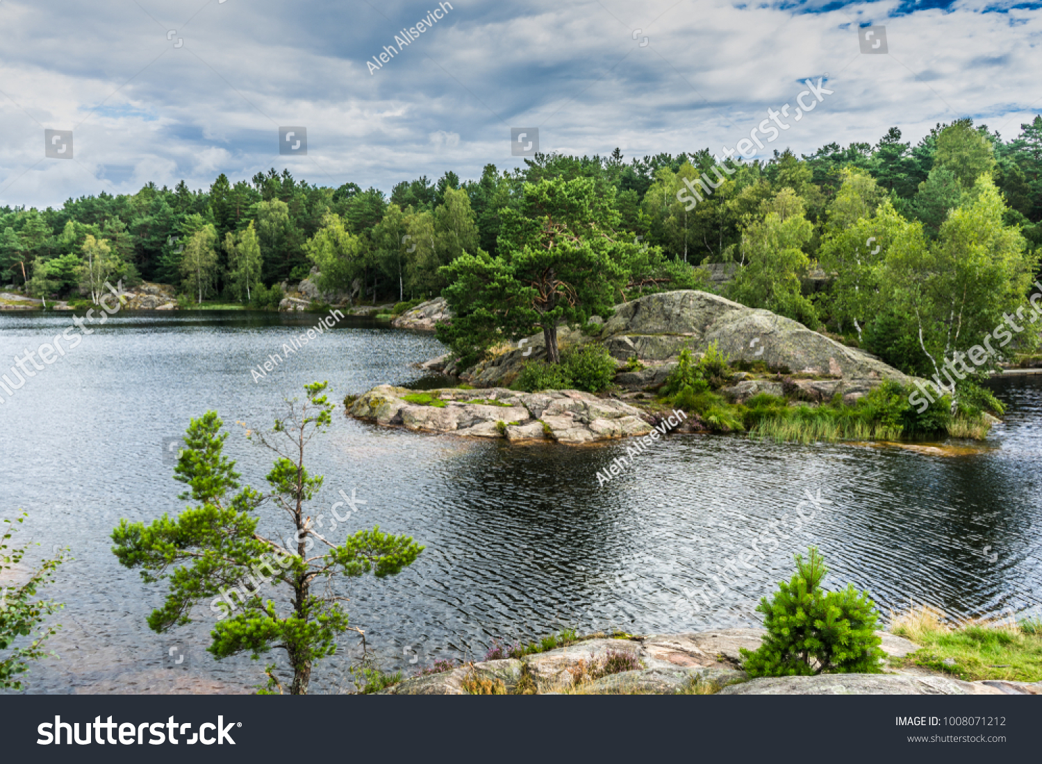 Norway Kristiansand Baneheia Lakeside View Stock Photo Edit Now 1008071212