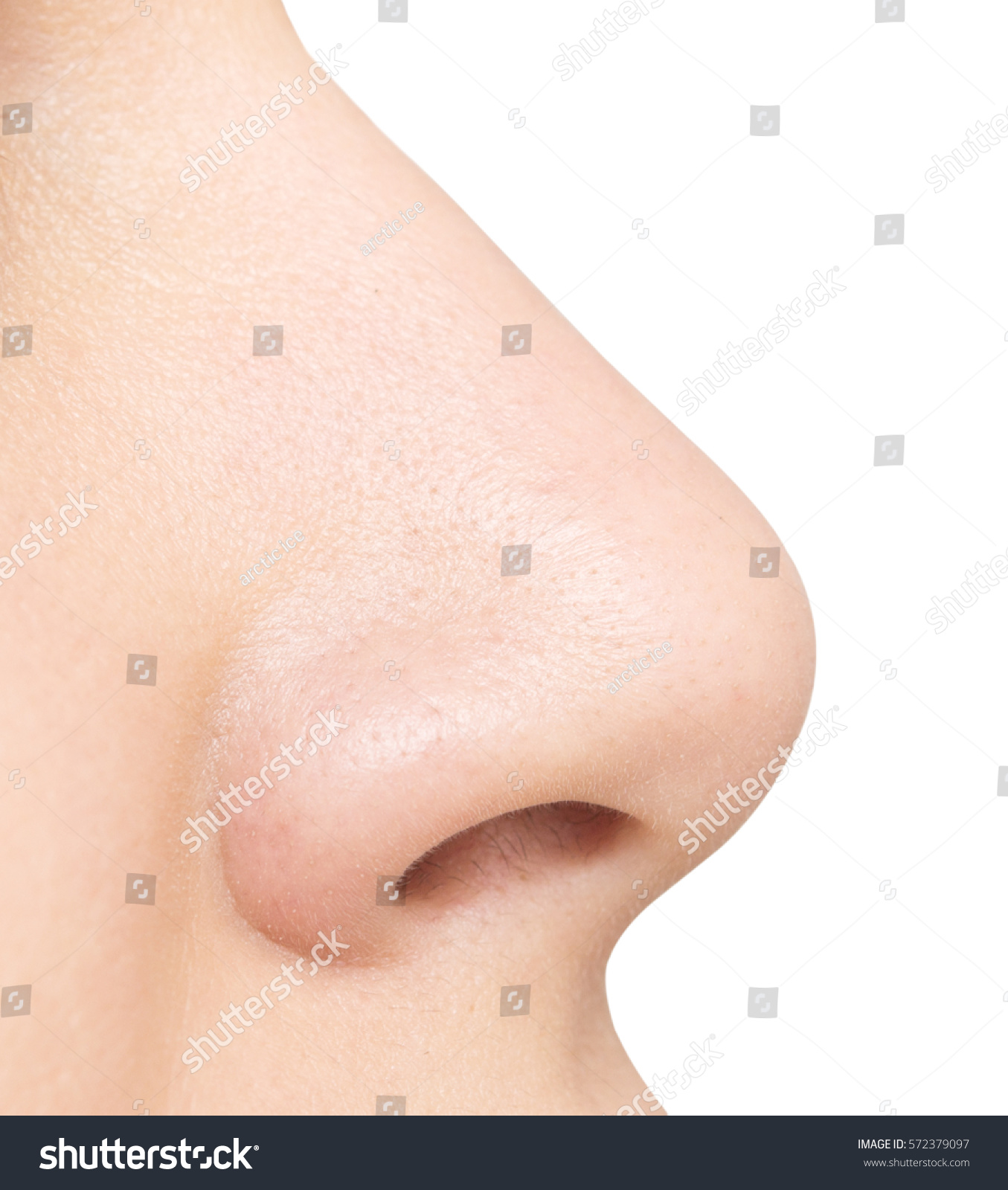  Nose  Isolated On White  Background  Stock Photo 572379097 