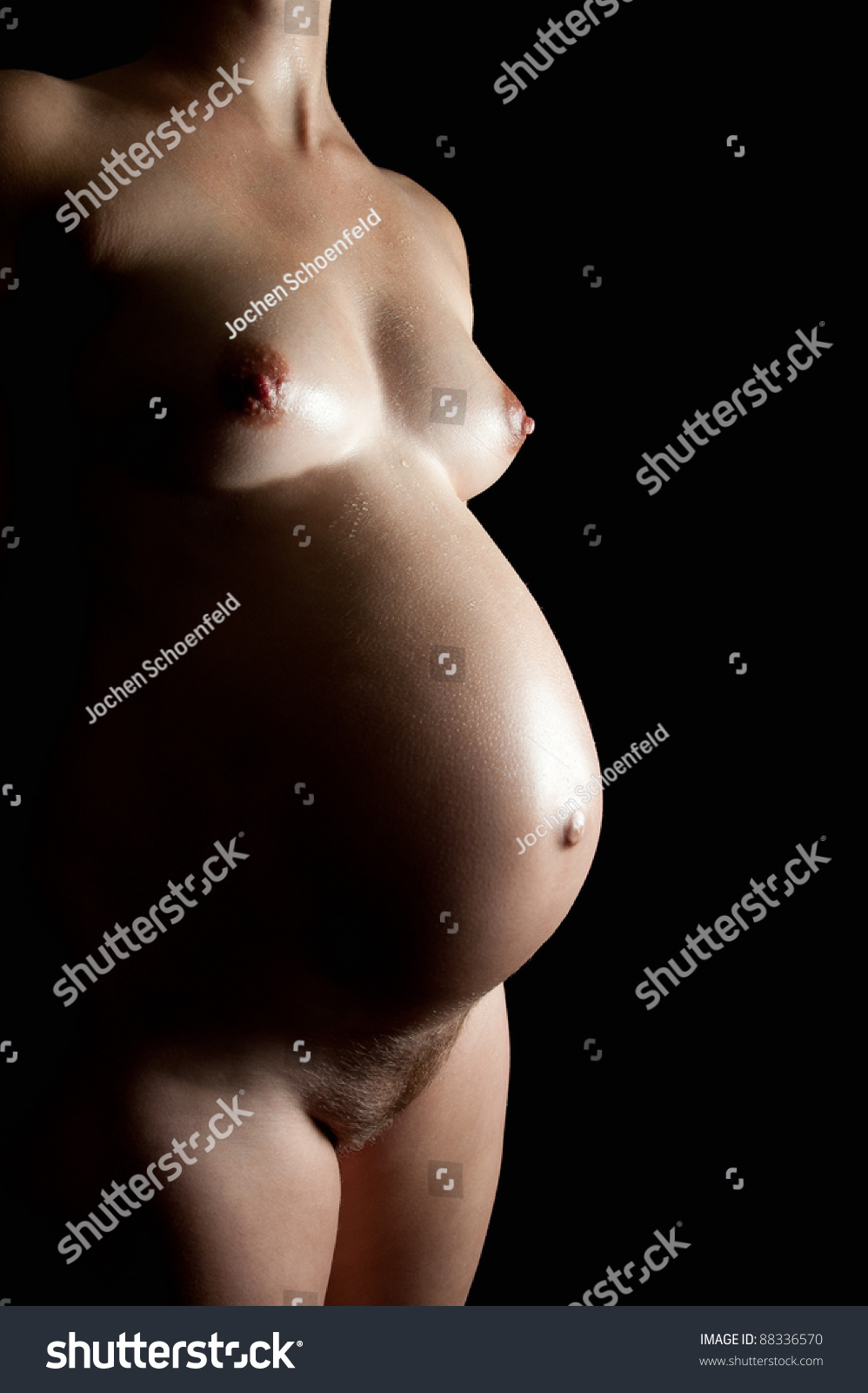 Nude Pregnant Female Full Front Back