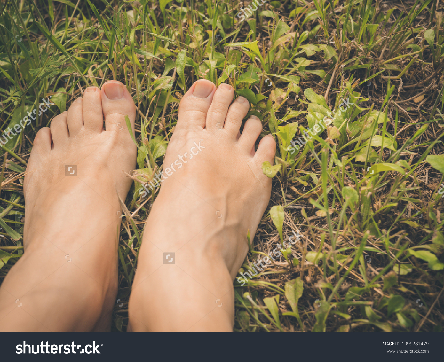 Nude on grass Nude Photos 67