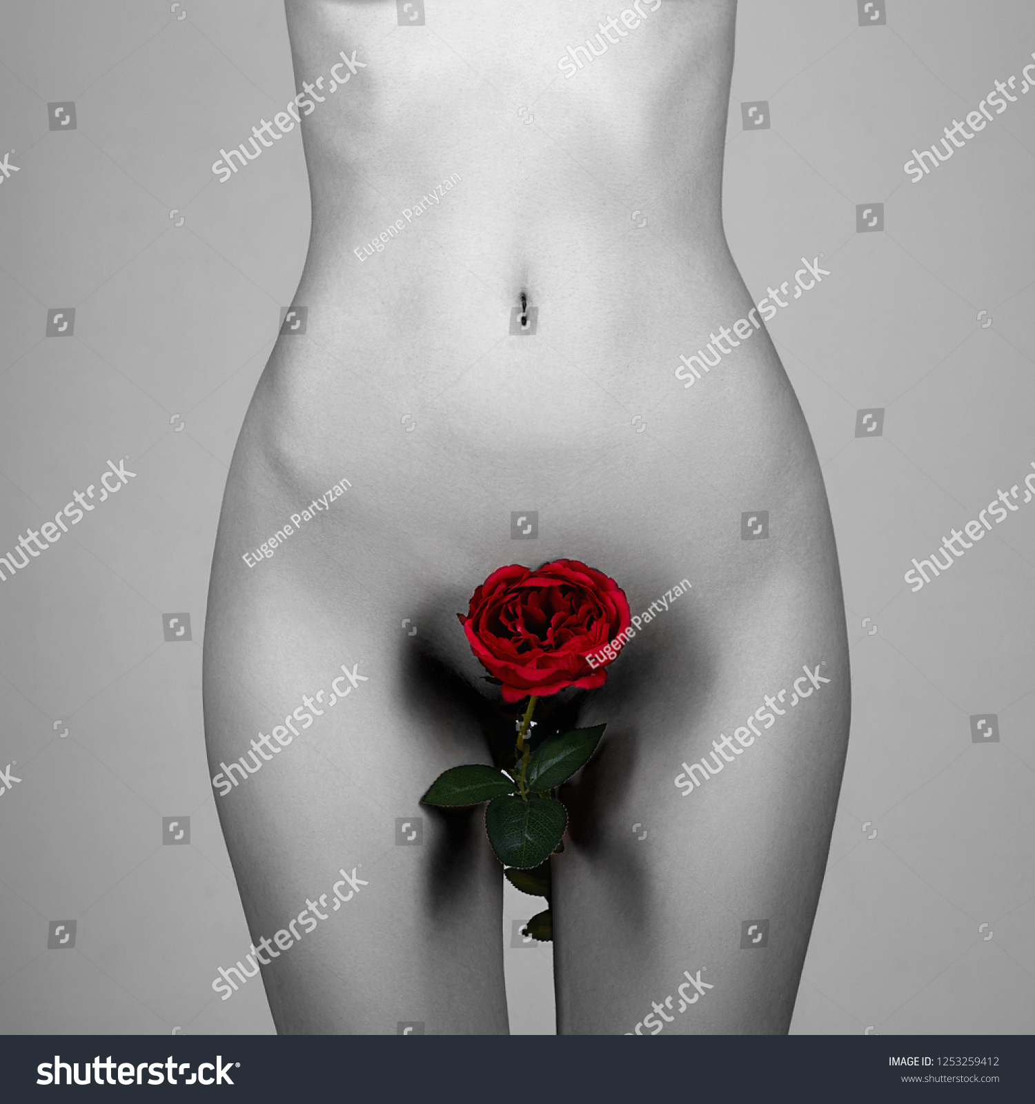 Red rose nudes