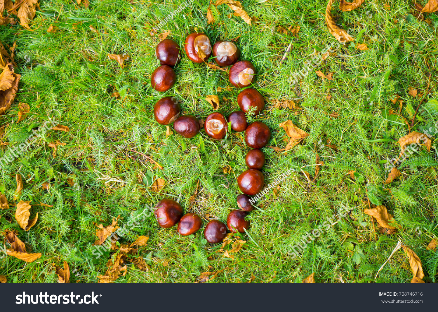 Number 9 Made Conkers On Green Stock Photo (Edit Now) 708746716