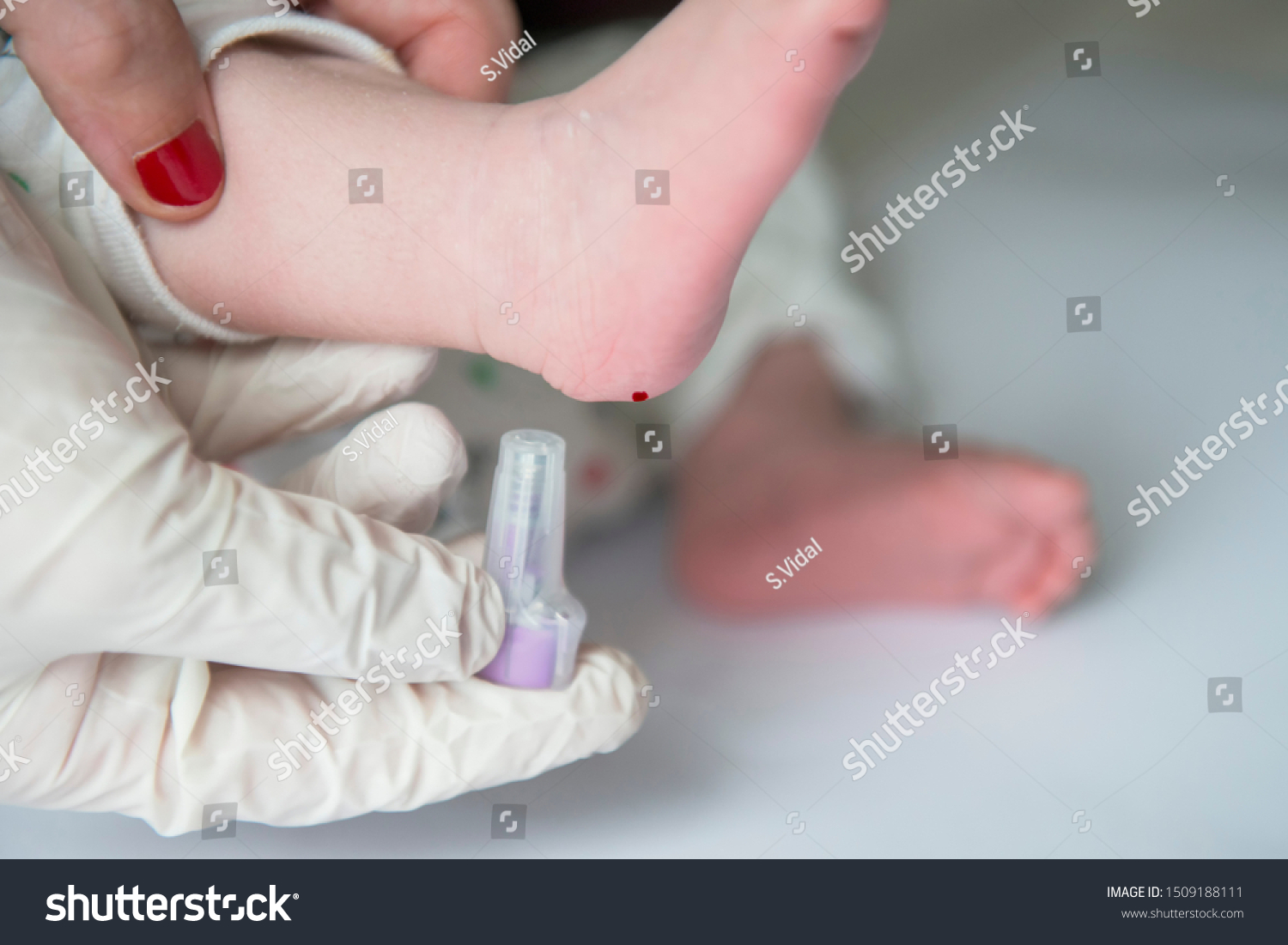 heel-prick-images-stock-photos-vectors-shutterstock