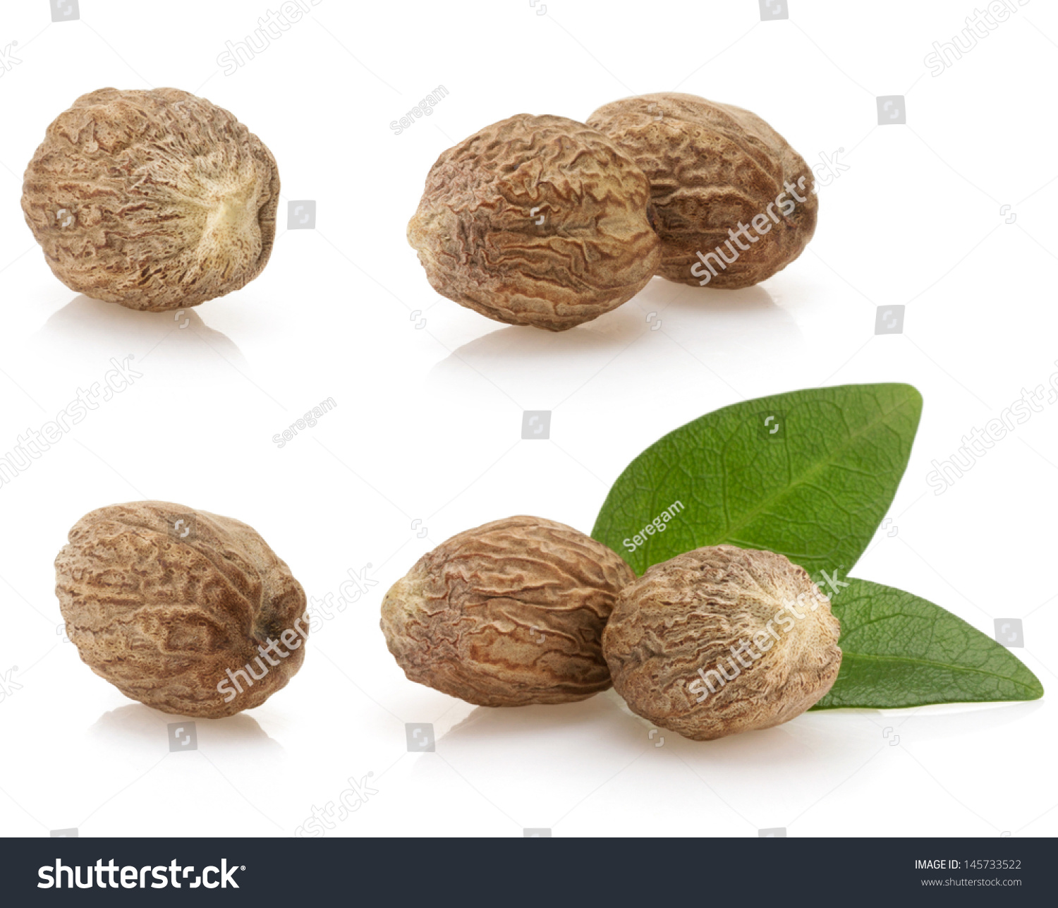 368 Meg nut Images, Stock Photos & Vectors | Shutterstock