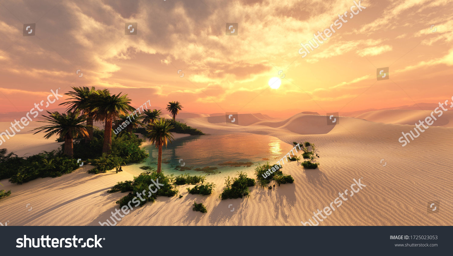 Oasis 이미지, 스톡 사진 및 벡터 Shutterstock