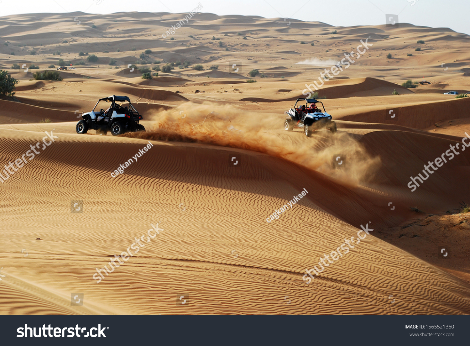 desert safari race