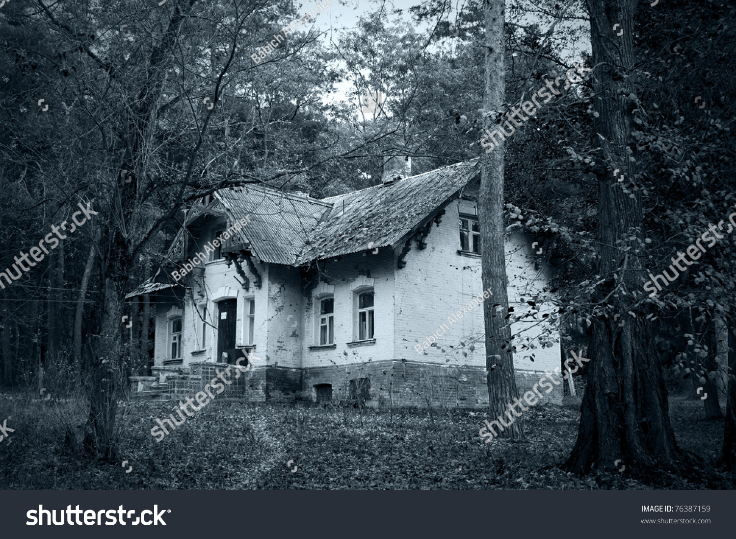 Old Abandoned House Dense Forest Stock Photo 76387159 - Shutterstock