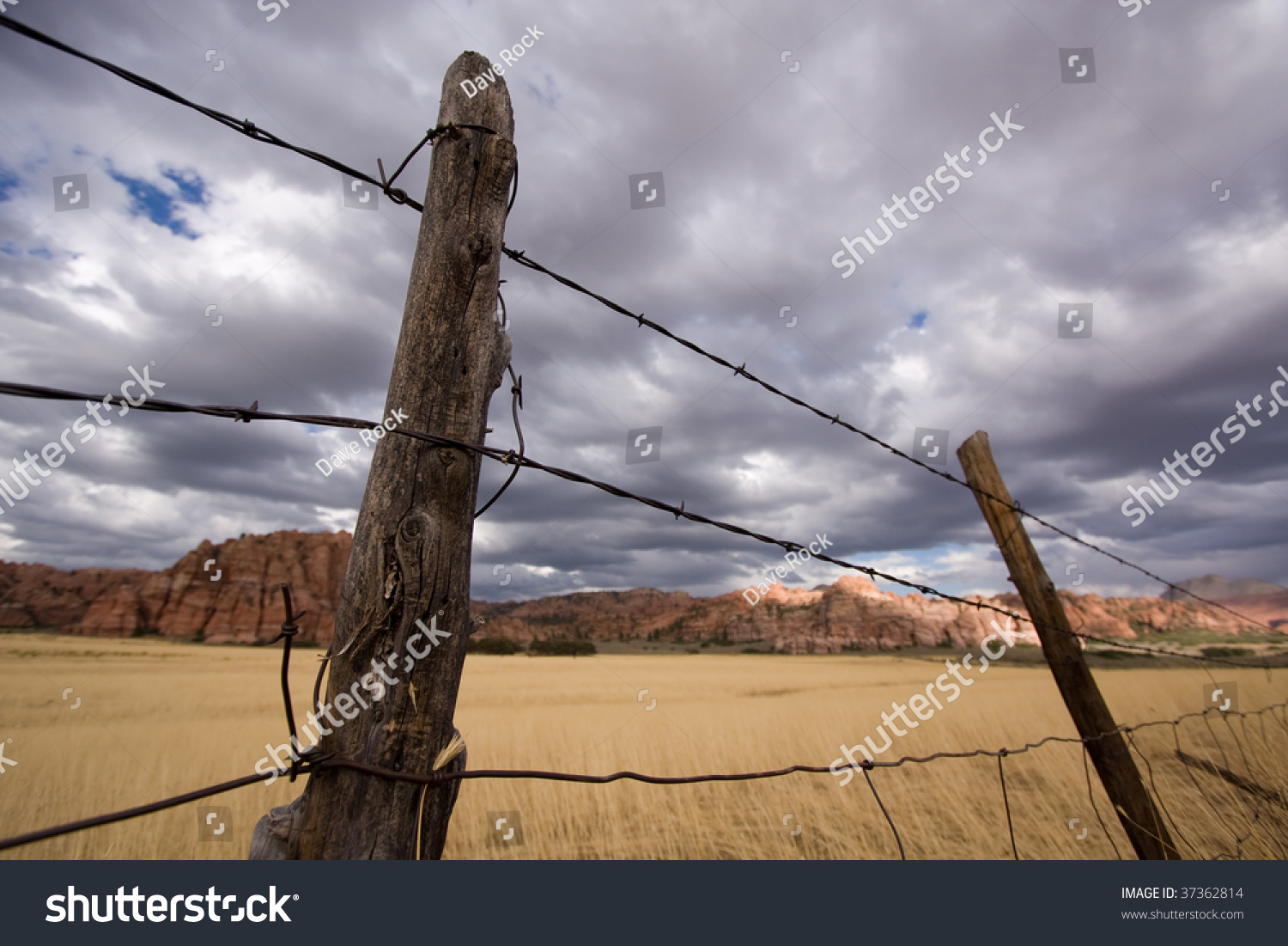 Old Barbed Wire Fence Old Barbed Wire Fence
