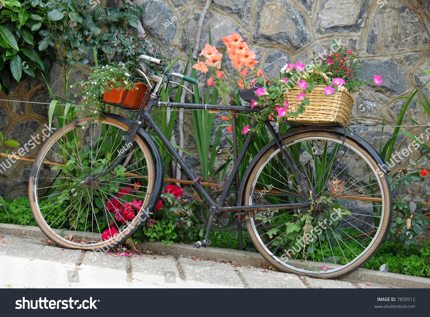 Old Bicycle Decorated With Flowers In The Garden Stock Photo 7859512 ...