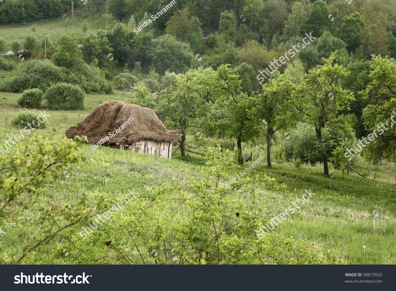 Old Country House Hilly Area Romania Stock Photo 38819503 - Shutterstock