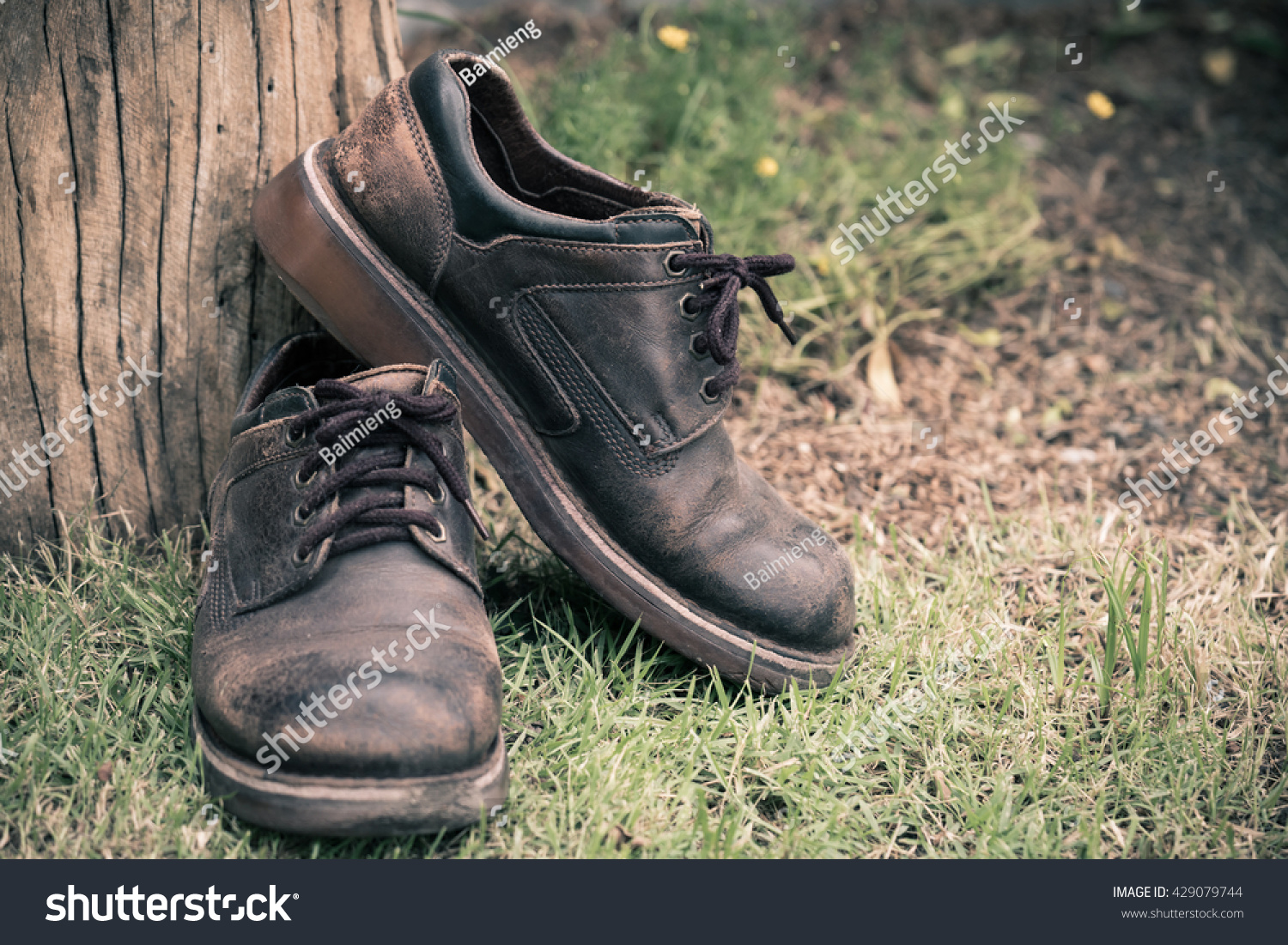 green fields shoes