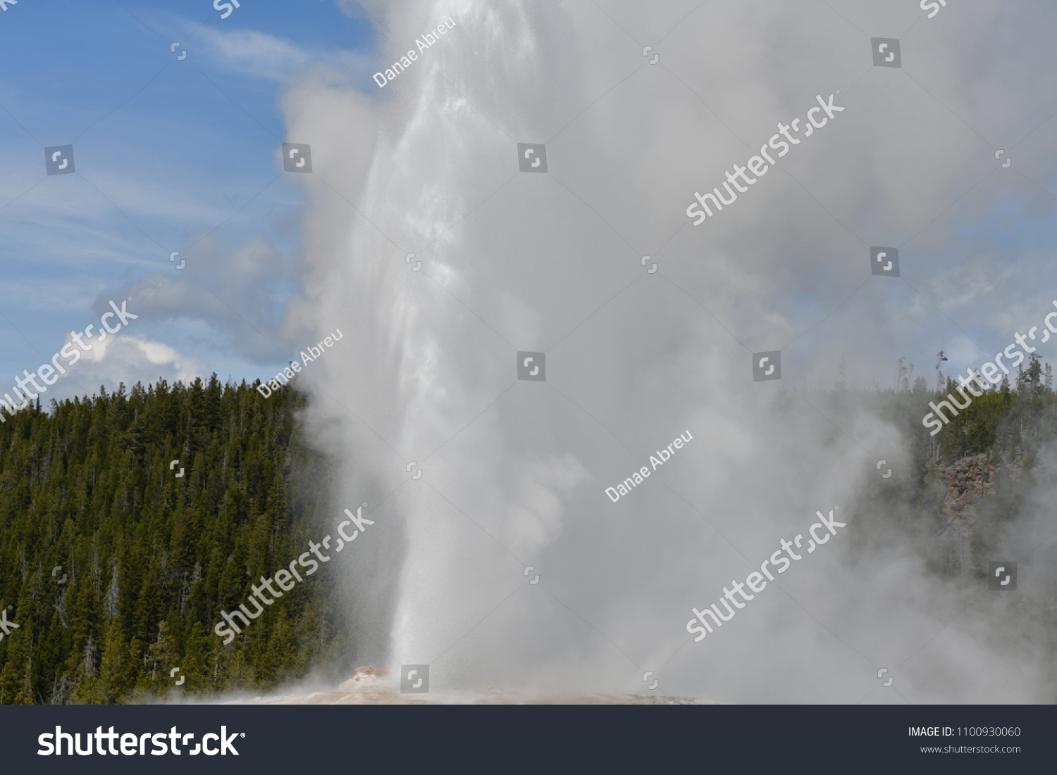 Old Faithful Erupting On Schedule Stock Photo (Edit Now) 1100930060