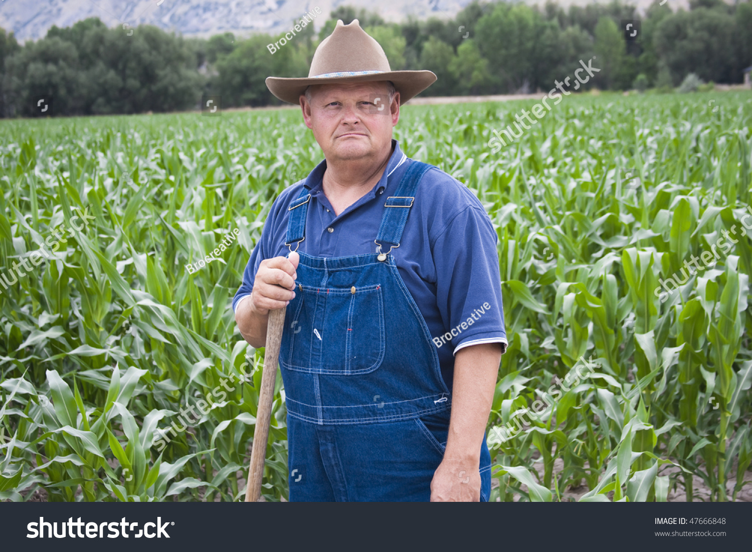 Old Farmer Working In His Fields Stock Photo 47666848 : Shutterstock