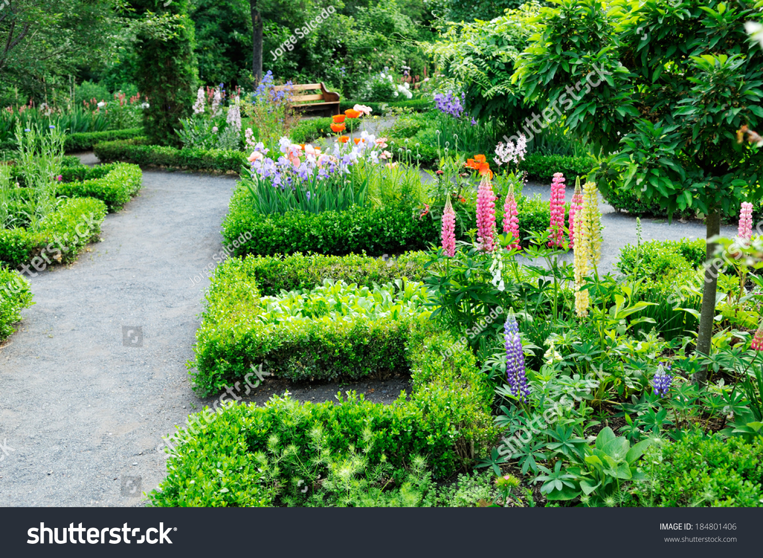 oldfashioned garden design crushed granite paths stock photo (edit