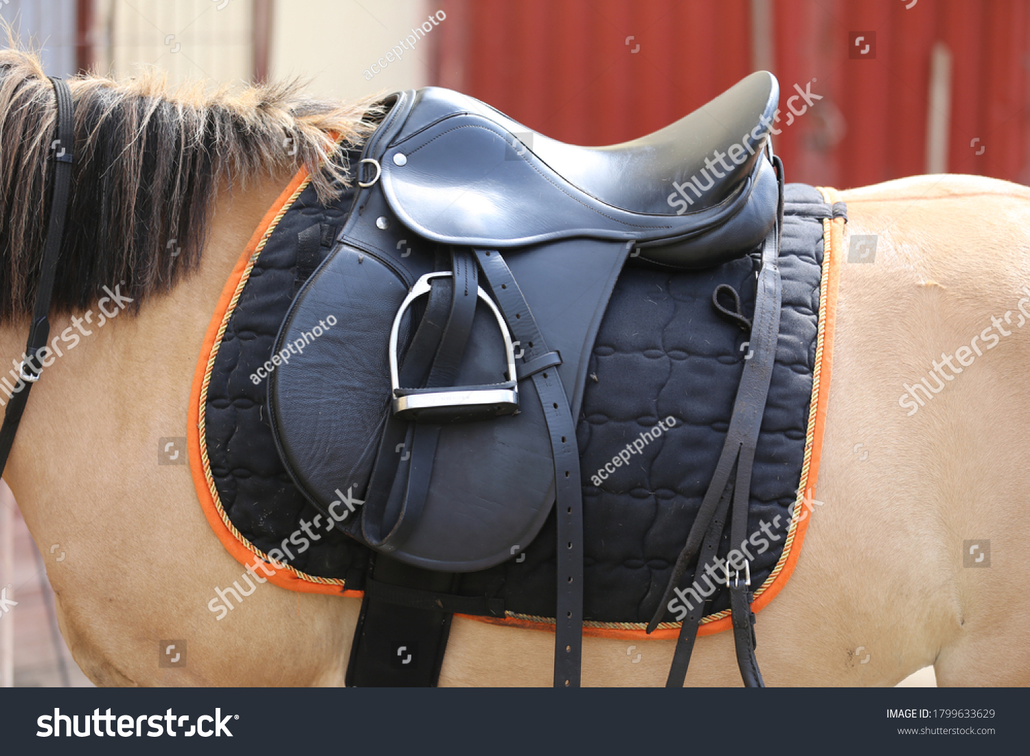 Old Leather Saddles Horse Stirrups On Stock Photo 1799633629 | Shutterstock