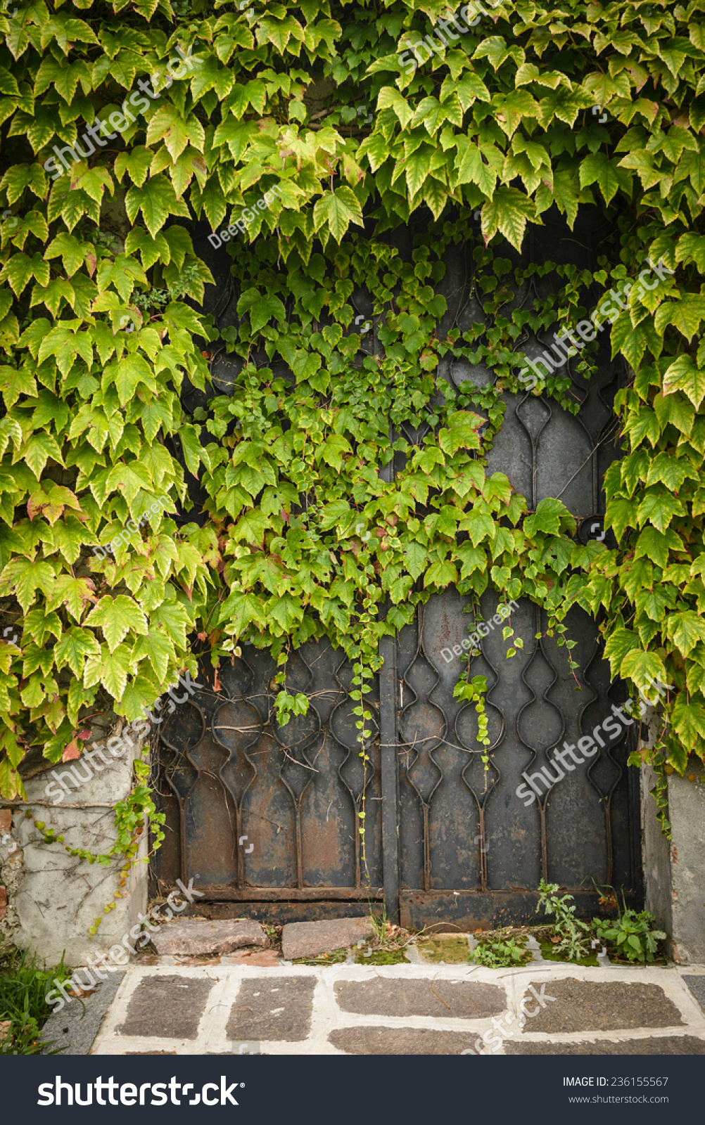 2,014 Ivy wood gate Images, Stock Photos & Vectors | Shutterstock