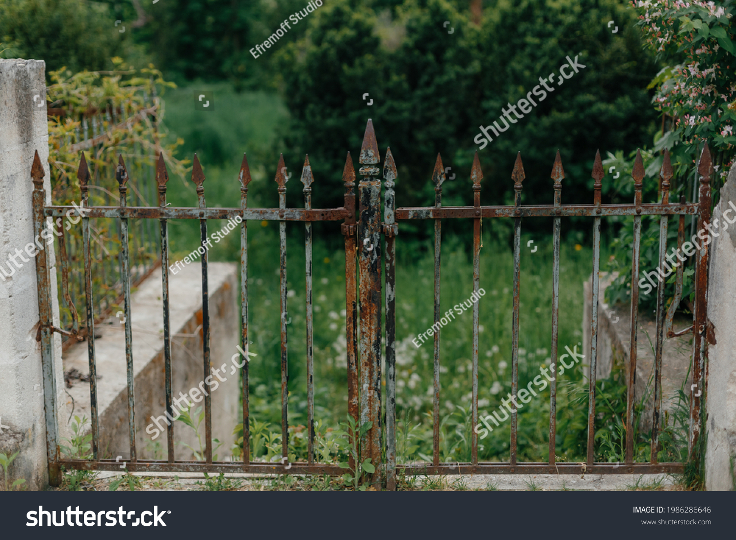 rusty-metal-gate-images-stock-photos-vectors-shutterstock