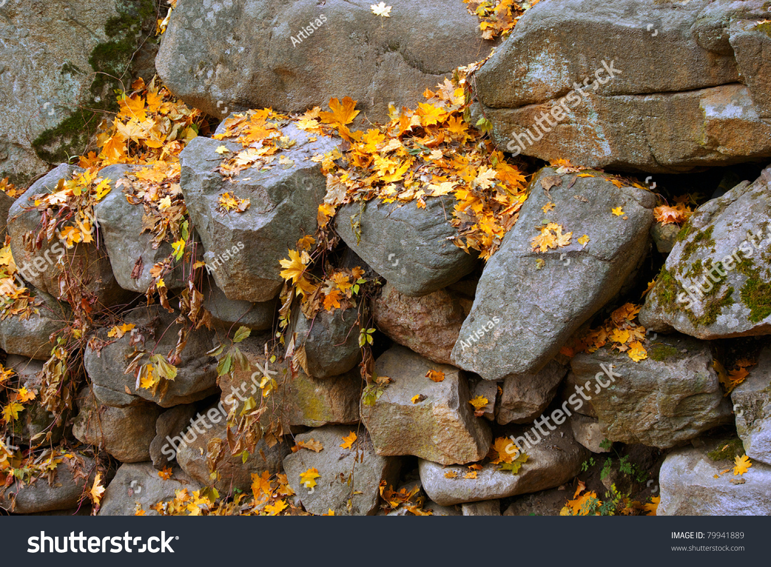 Old Stone Wall, Fall, Fallen Leaves, Boulders Stock Photo 79941889 ...