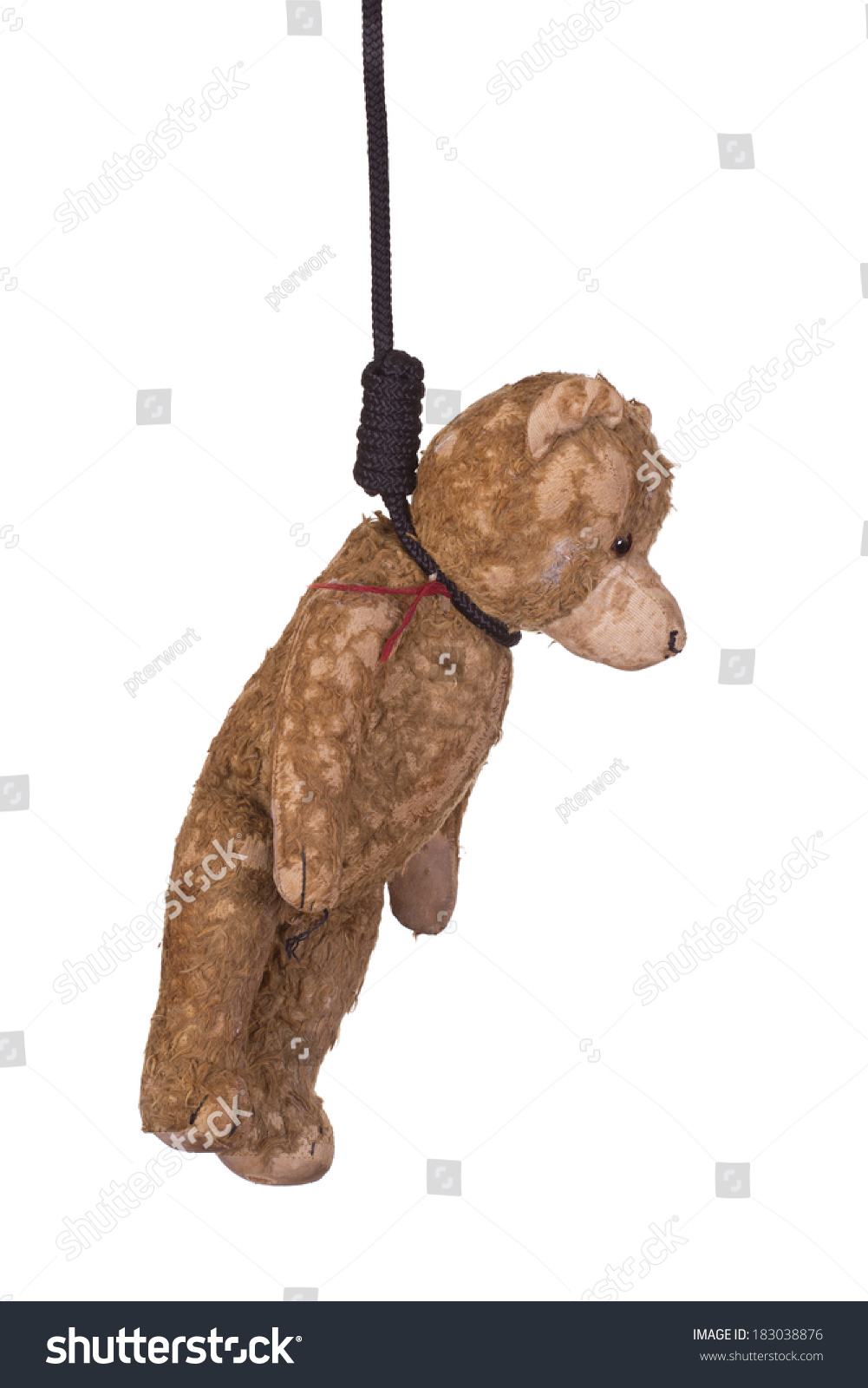 hanging teddy