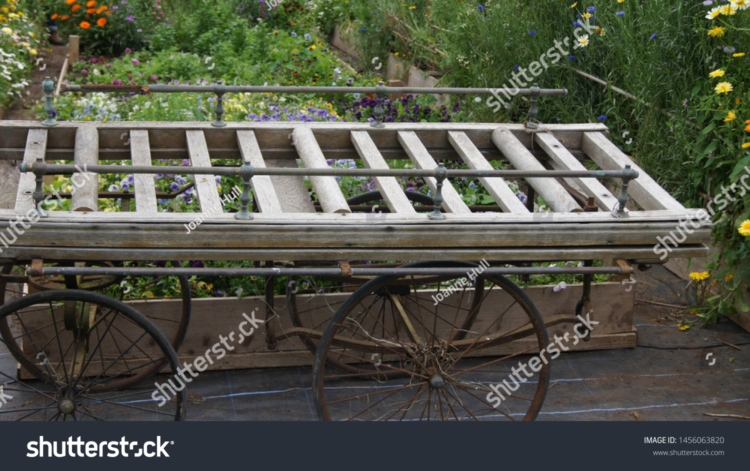 Old Vintage English Funeral Cart Stock Image Download Now