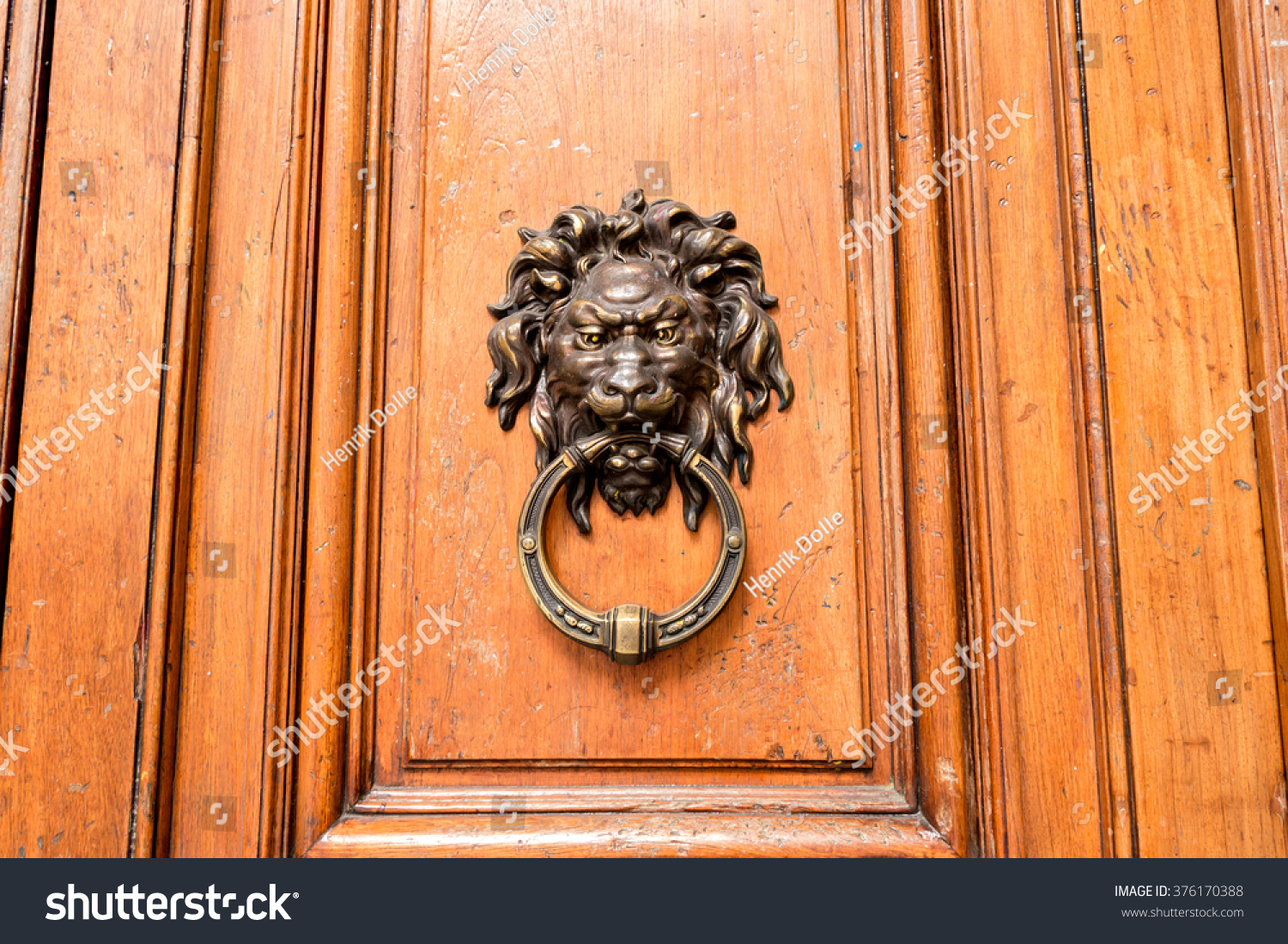 Old Wooden Door Bronze Lion Doorknocker Stock Photo Edit Now