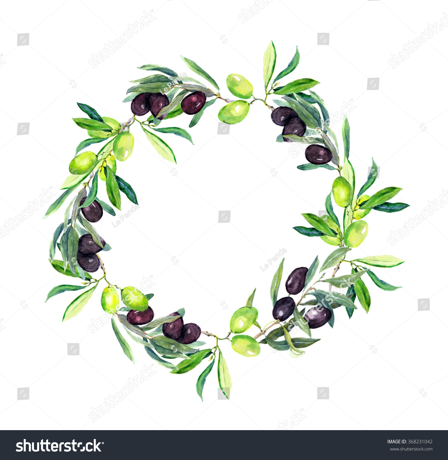 オリーブの枝 オリーブの木 円い花輪 水彩 のイラスト素材
