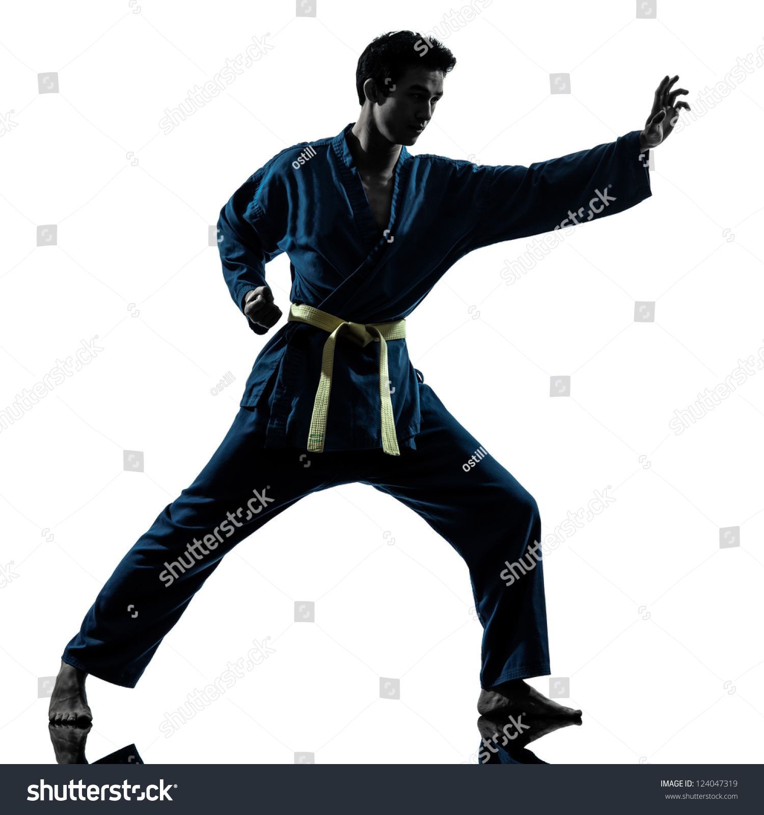 One Asian Young Man Exercising Martial Stock Photo 124047319 - Shutterstock