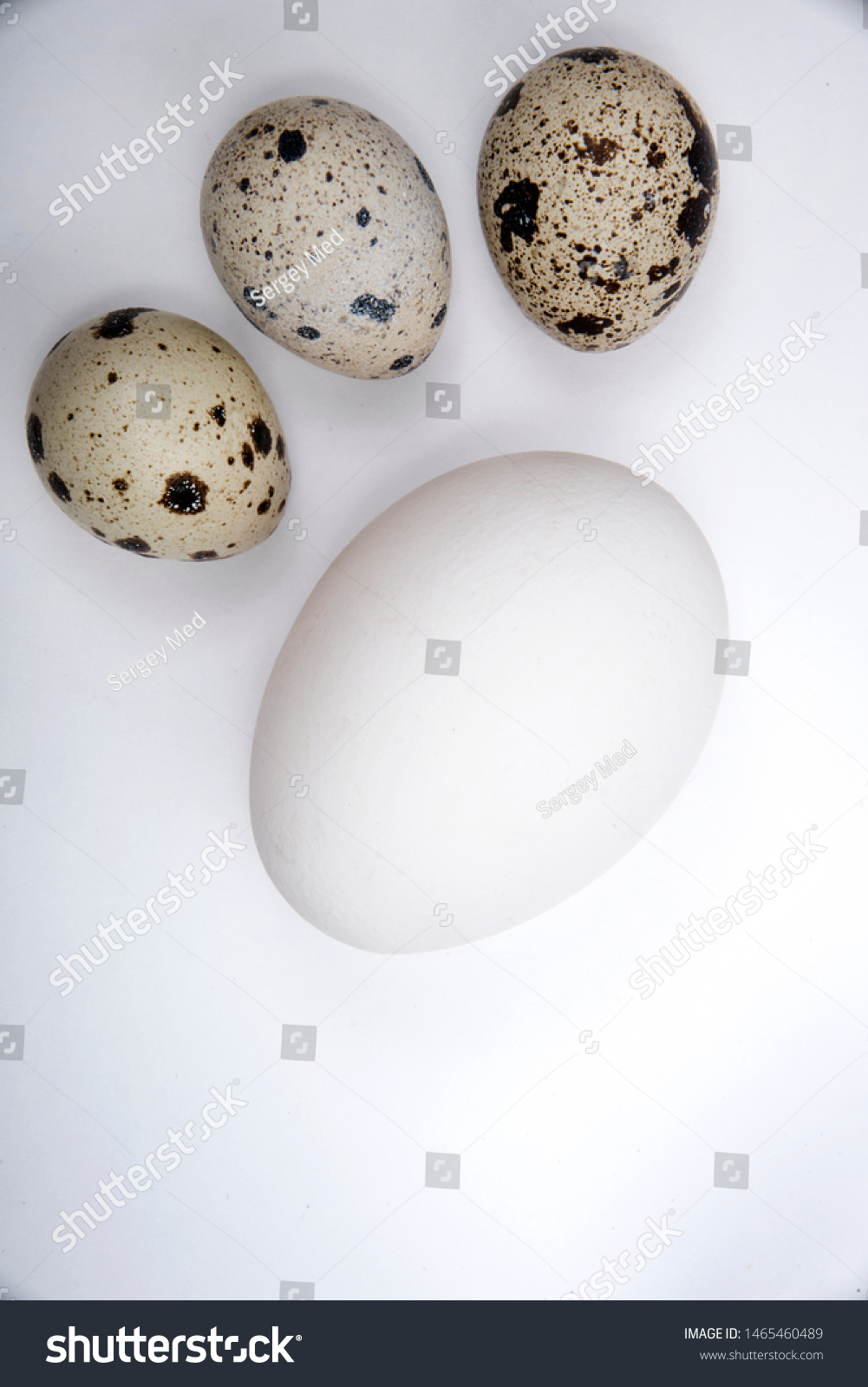 One Large White Egg Three Small Stock Photo Edit Now 1465460489