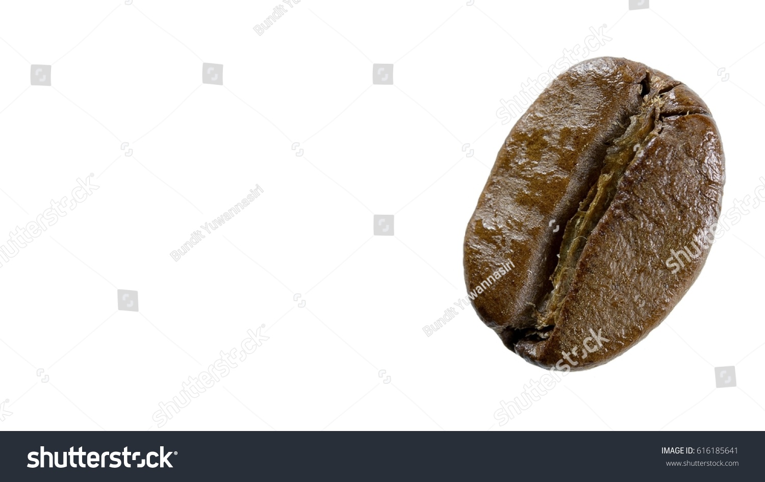One Roasted Coffee Beans Photo Taken Close Up Background Transparent One Roasted Coffee Beans Photo Taken Close Up Background Transparent