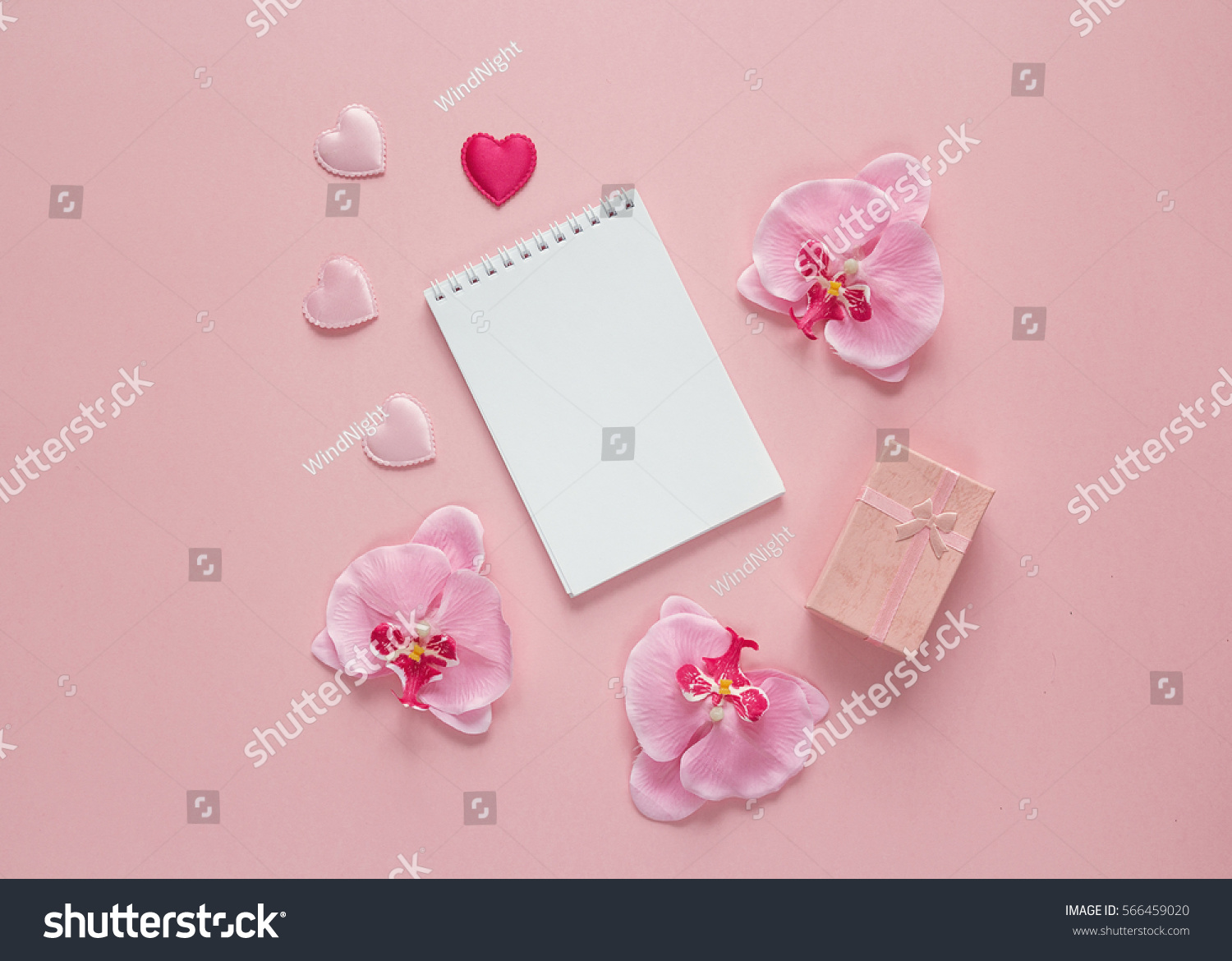 Download Open Blank Notebook Gift Box Orchid Stock Photo 566459020 ...