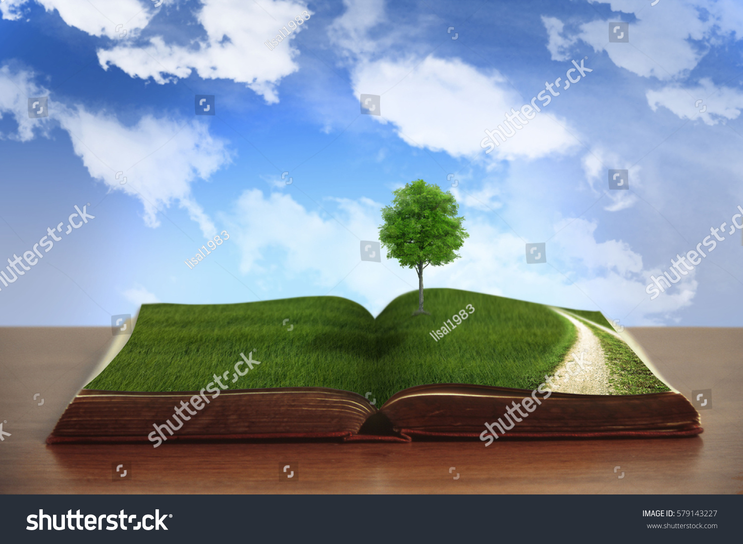 Open Book Path Blue Sky Stock Photo 579143227 | Shutterstock