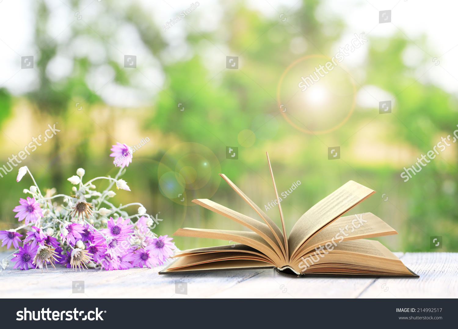 Open Book With Wild Flowers On Table Outdoors Stock Photo 214992517 ...