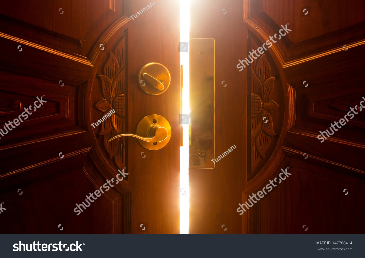 Open Door Light Stock Photo 147788414 | Shutterstock