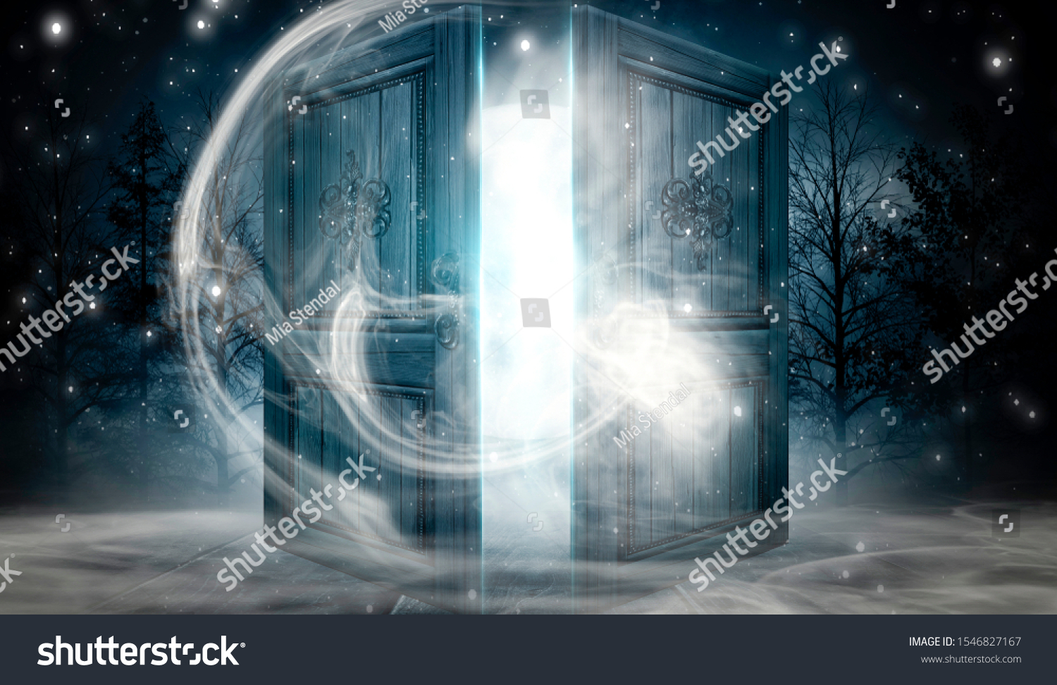 4302 Magic Open Door 이미지 스톡 사진 및 벡터 Shutterstock