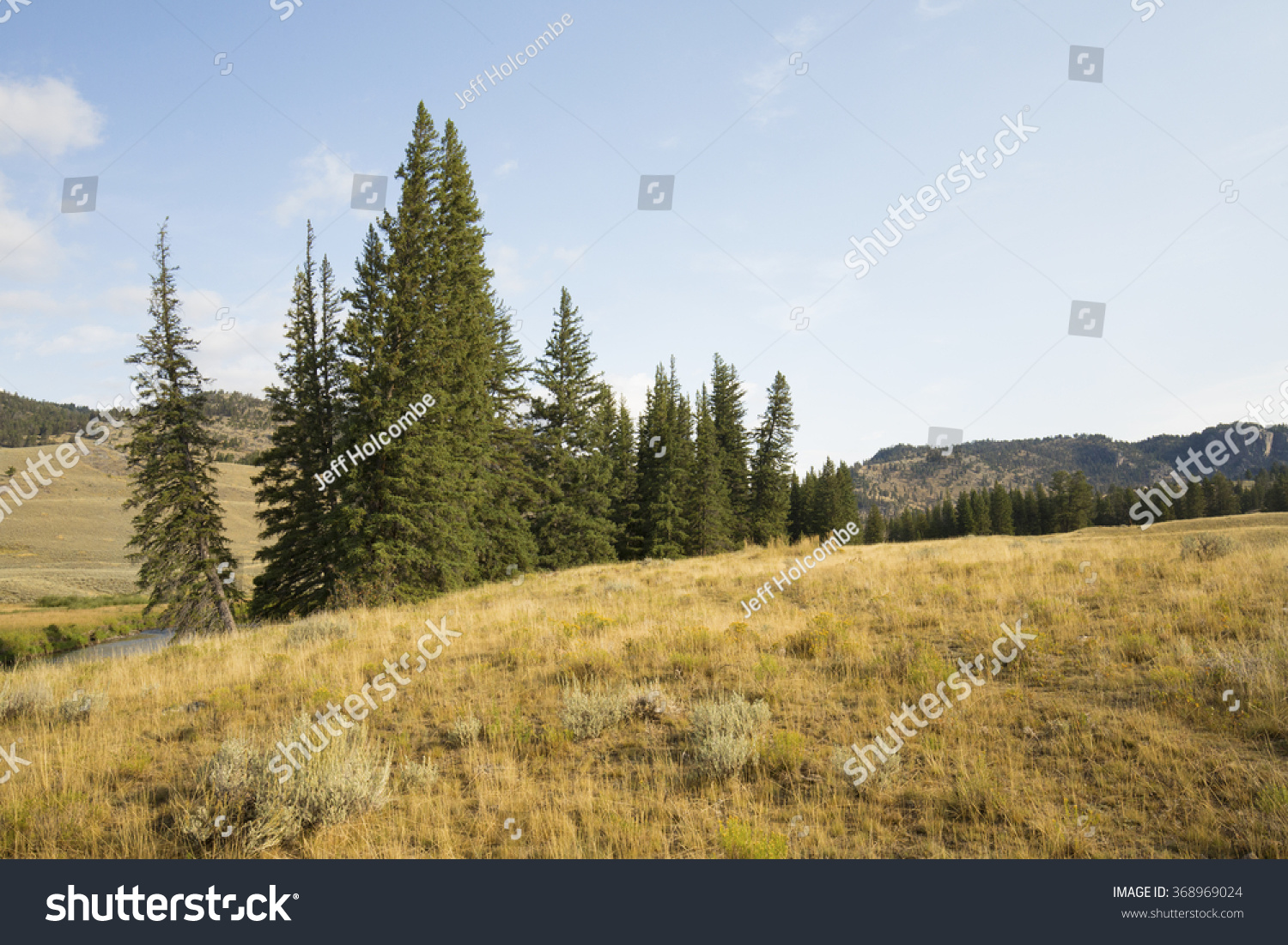 Open Forest And Sagebrush Scrub Land, With Small Grove Of Pine Trees On ...