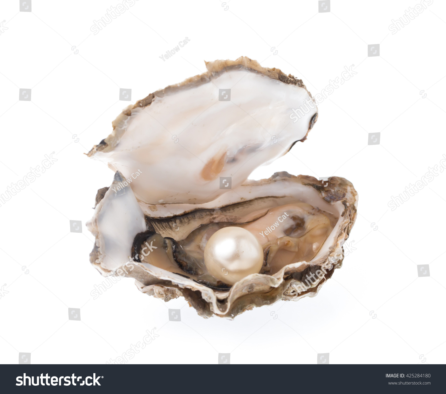 Open Oyster Pearl Isolated On White Stock Photo (Edit Now) 425284180