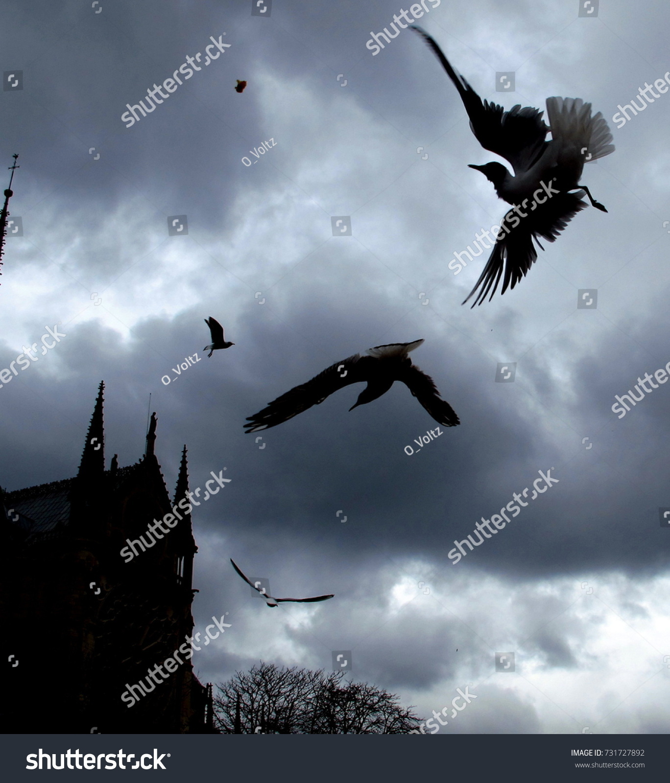 Orage Birds Paris Sky Notre Dame Stock Photo Edit Now